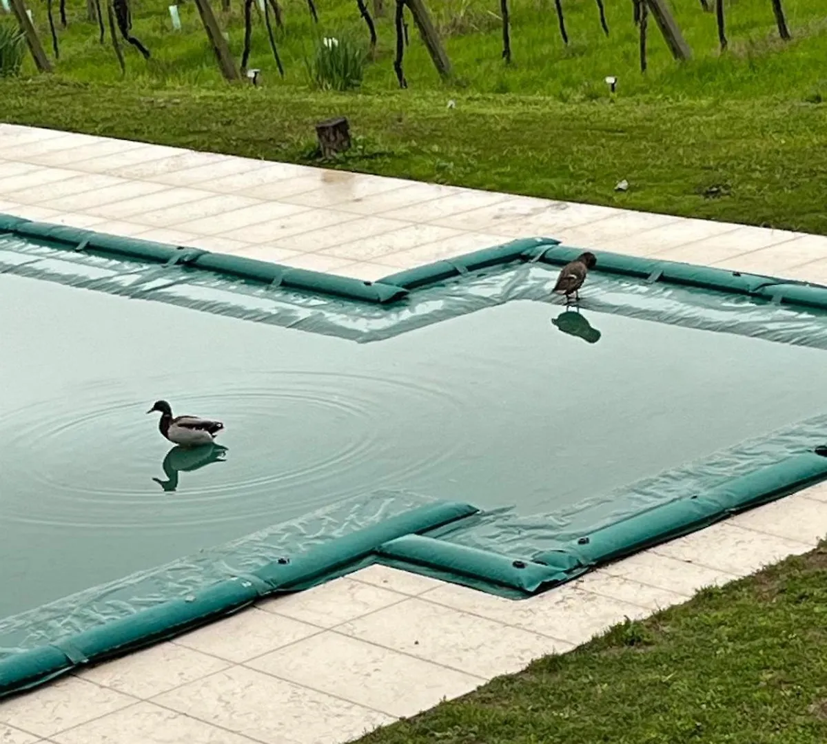 Agriturismo Al Dugale Lazise 0*,  Italië